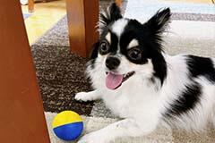 簿記で楽しさに目覚めて経理の道へ！社会貢献を実感し、理想の働き方に出会えたスタッフさん