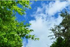 ブランク10年を経て、経理経験10年以上！職場でのコミュニケーションとマニュアル更新が得意なスタッフさん